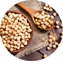 Pulses
