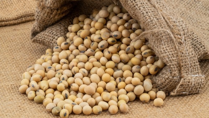 White Beans